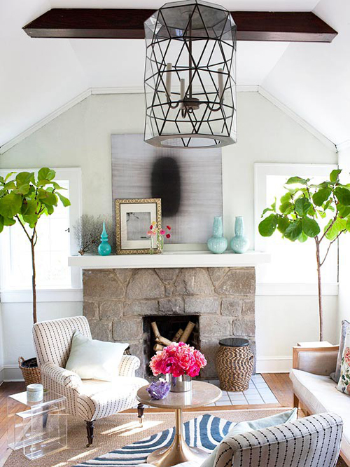 botanicals decorating with plants interior design